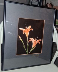 Cibachrome ART PRINT Signed & Framed Print Tony Festa RARE