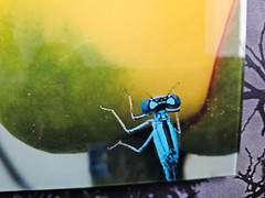 DODGEZEN MOMENTS IN TIME EDITION MY PHOTOGRAPHS PRINTED ON GLASS. INSPIRATIONAL