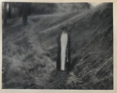 Original 1906 GEORGE HENRY SEELEY CAMERA WORK #15 SECESSIONIST Photogravure