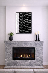 «Reticulating Splines» Artistic Home Decor