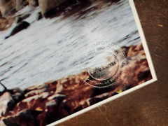 Photography wall art, Cranes on the rocks by Life Lens