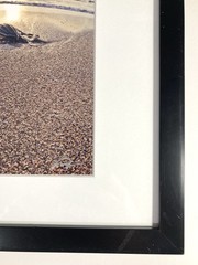 SIGNED Photograph Sea Turtles on Beach Chris Doherty Matted & Framed