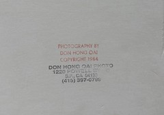 Don Hong Oai Birds in Flight Silver Gelatin Print Signed 1986 Matted Stamped