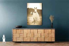 Wild Horse Photography Prints – Western Décor – Paper, Canvas, Metal