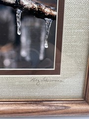 Chickadee On A Branch Original Photography Wooden Framed Signed Greg Ledermann