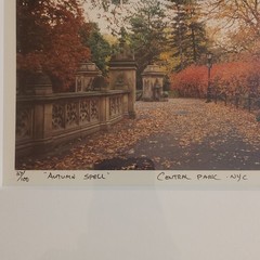Michael Chen Signed Limited Edition Photo Set of 3 Matted & Framed Central Park