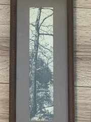 Early 20th Century Pictorialist Winter Tree Silver Gelatin Photograph