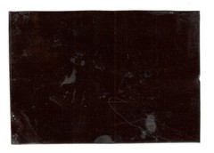 Antique Tintype Ferrotype Photo Woman on Donkey 1870s USA Outdoor Scene (C2119)
