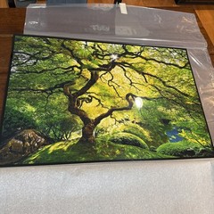 Peter Lik Small Tree Photo Print 24×16 Signed Unframed