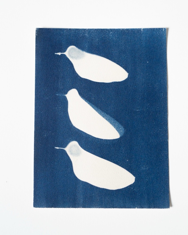 Cyanotype Botanical Print | Handmade Blue Photographic Art | 15×20 cm