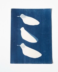 Cyanotype Botanical Print | Handmade Blue Photographic Art | 15×20 cm