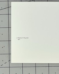 Gary Schneider (b. 1954) Art Announcement Card- Botanicals – 2001 Chicago