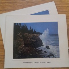 11 Vintage Bar Harbor MAINE Photograph Note Cards w/ Envelopes 6 Coastal Views