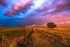 Prairie Photography Print: Oklahoma, Great Plains, Stormy, Picture, Photo