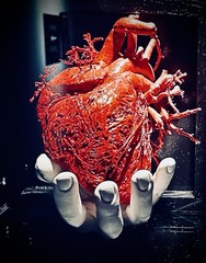 My Heart In Your Hand Original Photo Print by LM Photography 8×10 Framed