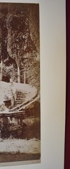 Vtg Italian Villa Photograph: 8964 Dettaglio della scala, Villa d’Este – Tivoli