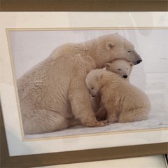 Kennan Ward Signed Polar Bear Family Framed Color Landscape Photograph
