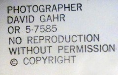 1988 David Murray JAZZ Saxophonist Vintage Original Photo by David Gahr