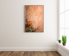 Orange Flower on Adobe House in New Mexico – Home Decor, Wall Art Photography