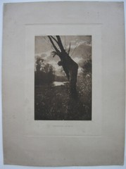 Heinrich Kühn (1866-1944) Autumn Evening on the Moor Photogravure 1897