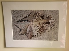 H. David Stein Matted Fine Art Photography Prints 24″X 18″ Lot Of Two (2)