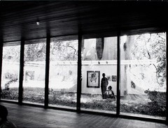 Gisela Franke Berlin Gallery Art Reflection Tree Photography 1980s
