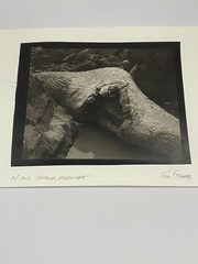 Jim Fitzgerald Driftwood Oregon Coast Signed Photograph Carbon Transfer