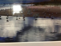 Black Framed and Matted 19×16″ Lake Michigan Stormy Shoreline Framed Art Picture