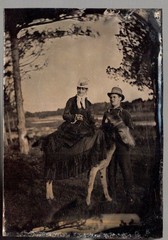 Antique Tintype Ferrotype Photo Woman on Donkey 1870s USA Outdoor Scene (C2119)