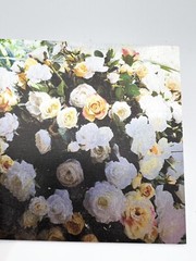 Nancy Reid Carr Art & Photography Metal Photo Print Garden Roses Signed Floating