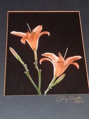 Cibachrome ART PRINT Signed & Framed Print Tony Festa RARE