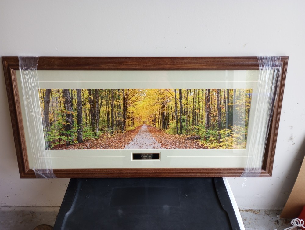 Beautiful Framed Photograph! «Golden Road» by Richard Day, Original Wrapping