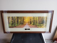 Beautiful Framed Photograph! «Golden Road» by Richard Day, Original Wrapping