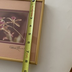 Original Photo Pink Orchid Signed & Framed Estate 1981