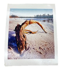 Michael C Hall Signed Photograph Deadwood NJ 1992 Pine Barrens Landscape 16×20