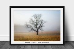 Great Smoky Mountains Photography Print: Tennessee Tree Fog Nature Smokies Photo