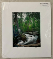 New Vern Clevenger »McGee Creek Springtime» Photograph Signed 10″ x 8» Read