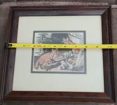 Framed 1969 Gene Gray Print American Red Fox Family
