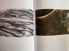 Vincent Munier 100 Fotografien NEU Schneeleopard