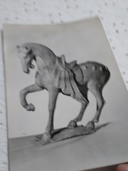 VTG RPPC Earthen Figure Of A Horse: Chinese, T’ang Dynasty MUSEUM POST CARD