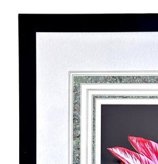 Peter Arnold photograph Tulip red and white