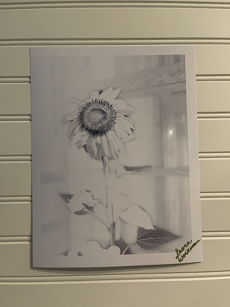 Sunflower #9 – landscape photograph 8.5×11