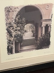 European Garden By Allan Blaustein Photography Framed With Glass 18 1/2 X 18 1/2