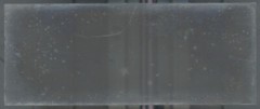 Campaign, Hens, Stereoscopic Glass Plate, Black & White Negative 4.5×10.7 Cm