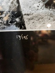 Original Hand-colored Photography By Garry Seidel, «Dark ANGEL» #17/195