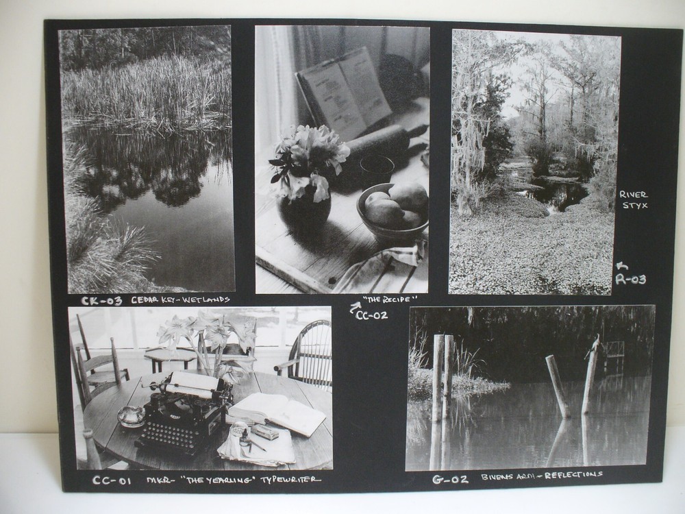 MATTED PHOTOGRAPHY Collage of Florida Photos by Larry Santucci 15×11.5 B&W