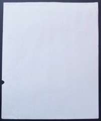 Vintage Photograph Of Mayan Stelae In Jungle With Artist’s Notes On Back 20″X16″