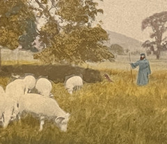 Rare David Davidson Hand Colored Photo «In Green Pastures» Sheep & Shepherd