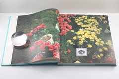 Angel Festival Nobuyoshi Araki Photobook Japanese 1992 Taiyo Publishing