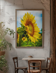 FREE SHIPPING Giclee 11×17” Color Sunflower Print, Office, Home, Business